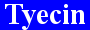 Tyecin Logo